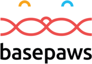 Visit the basepaws website
