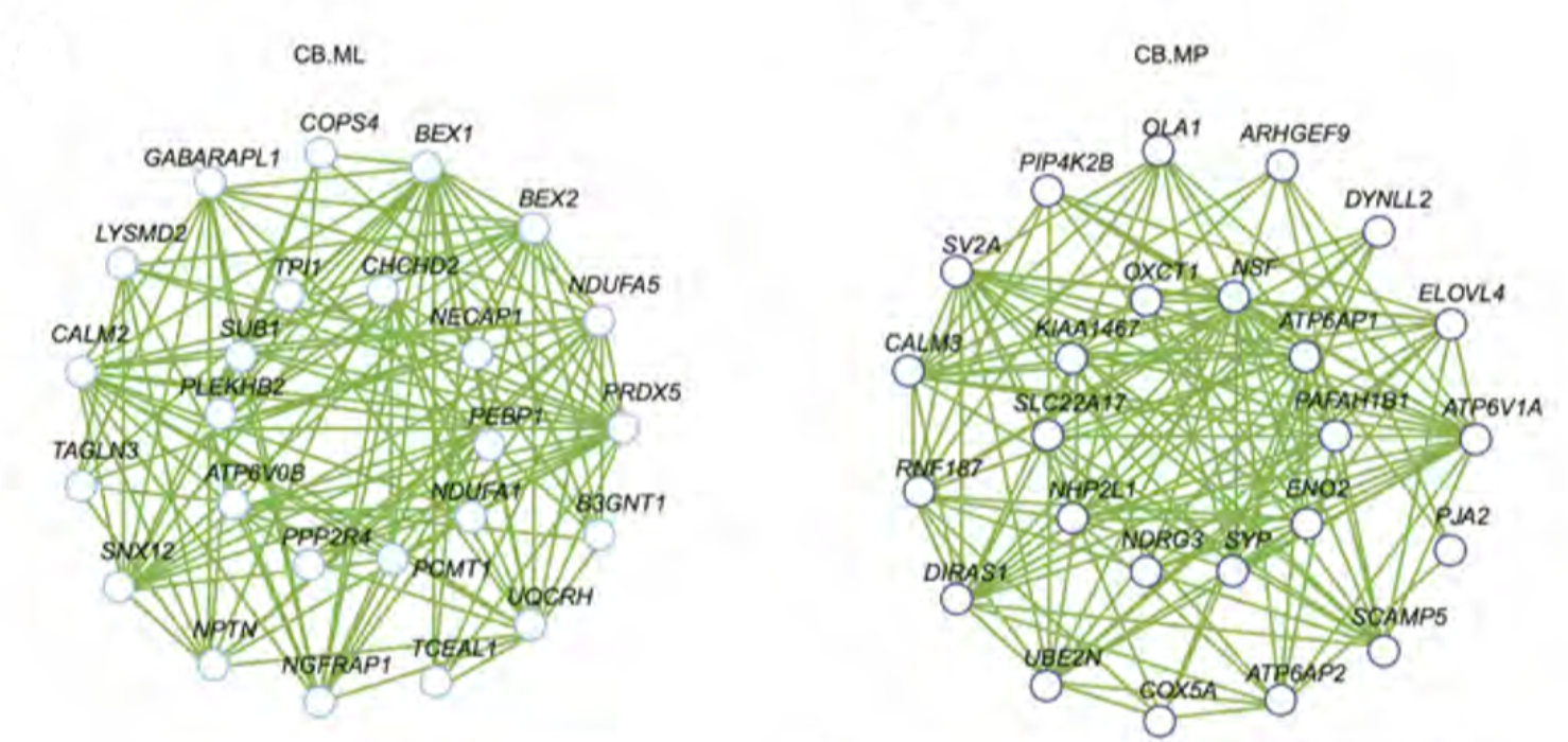 Example of network analysis. Click image to visit the original article