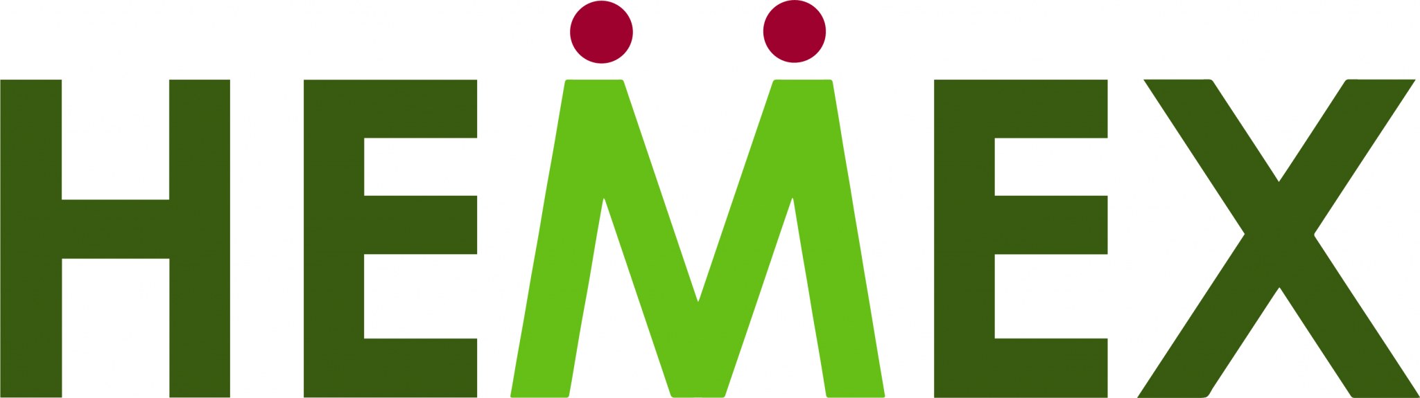 Business Partner: Hemex Logo