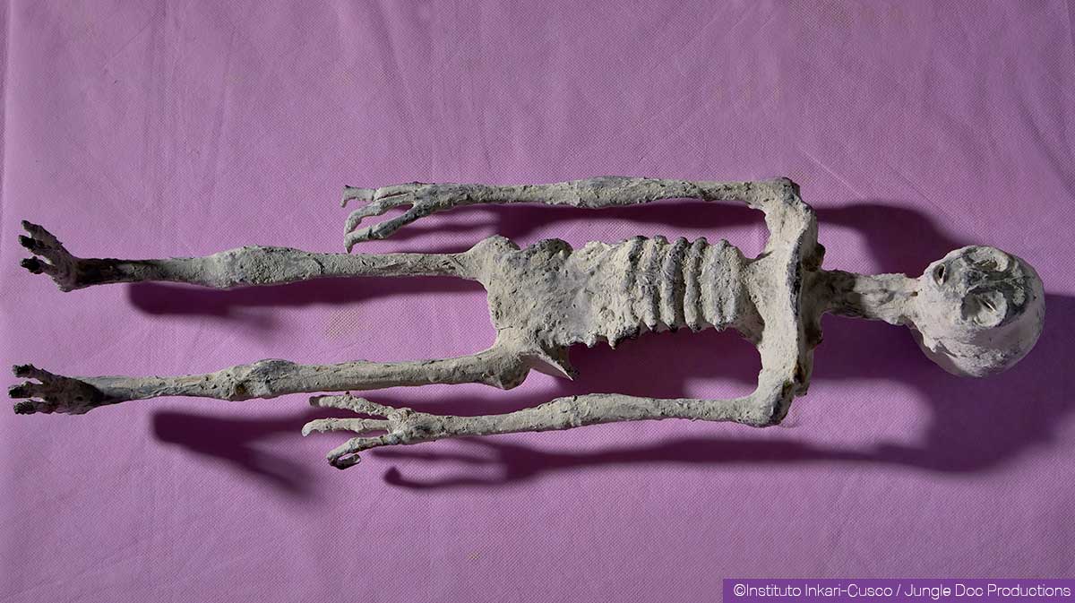 An object described as a humanoid reptilian mummy. It is covered in white paste or powder, with 3 fingers on each hand and 3 toes on each foot. It is very elongated.