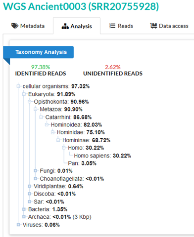 An image of SRA taxonomy analysis titled WGS Ancient0003 (SRR20755928). 97.38% of reads are identified, 2.62% unidentified. 91.89% are Eukaryota, with 82.03% Hominoidea and 30.22% Homo sapiens.